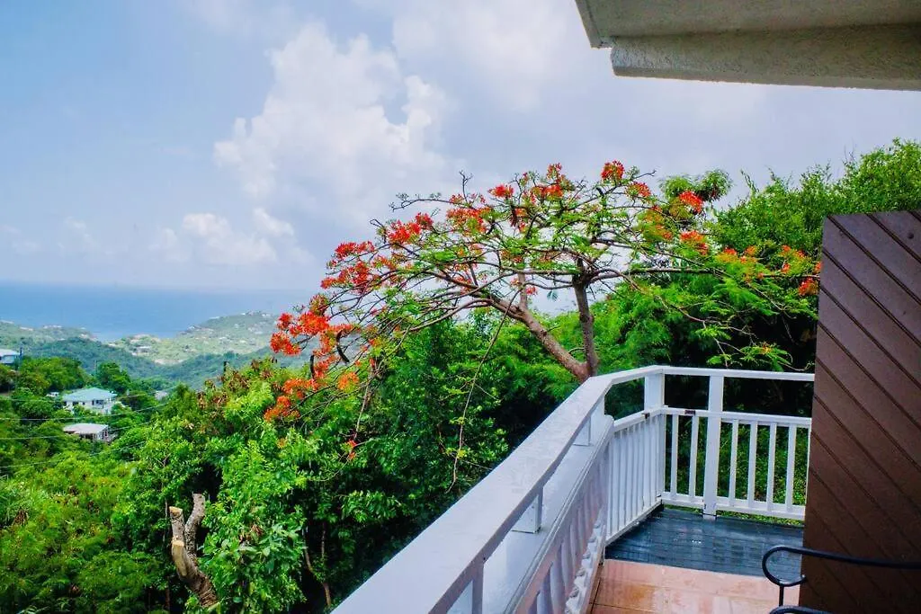St John, Usvi, Hillside Villa, Cruz Bay Apartment