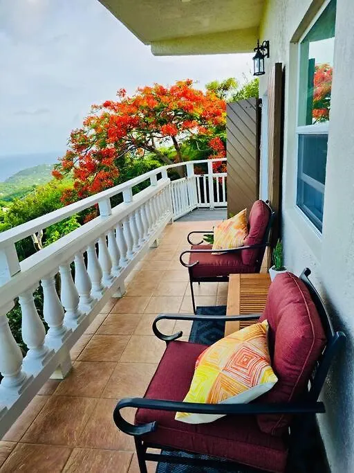 Apartment St John, Usvi, Hillside Villa, Cruz Bay United States Virgin Islands